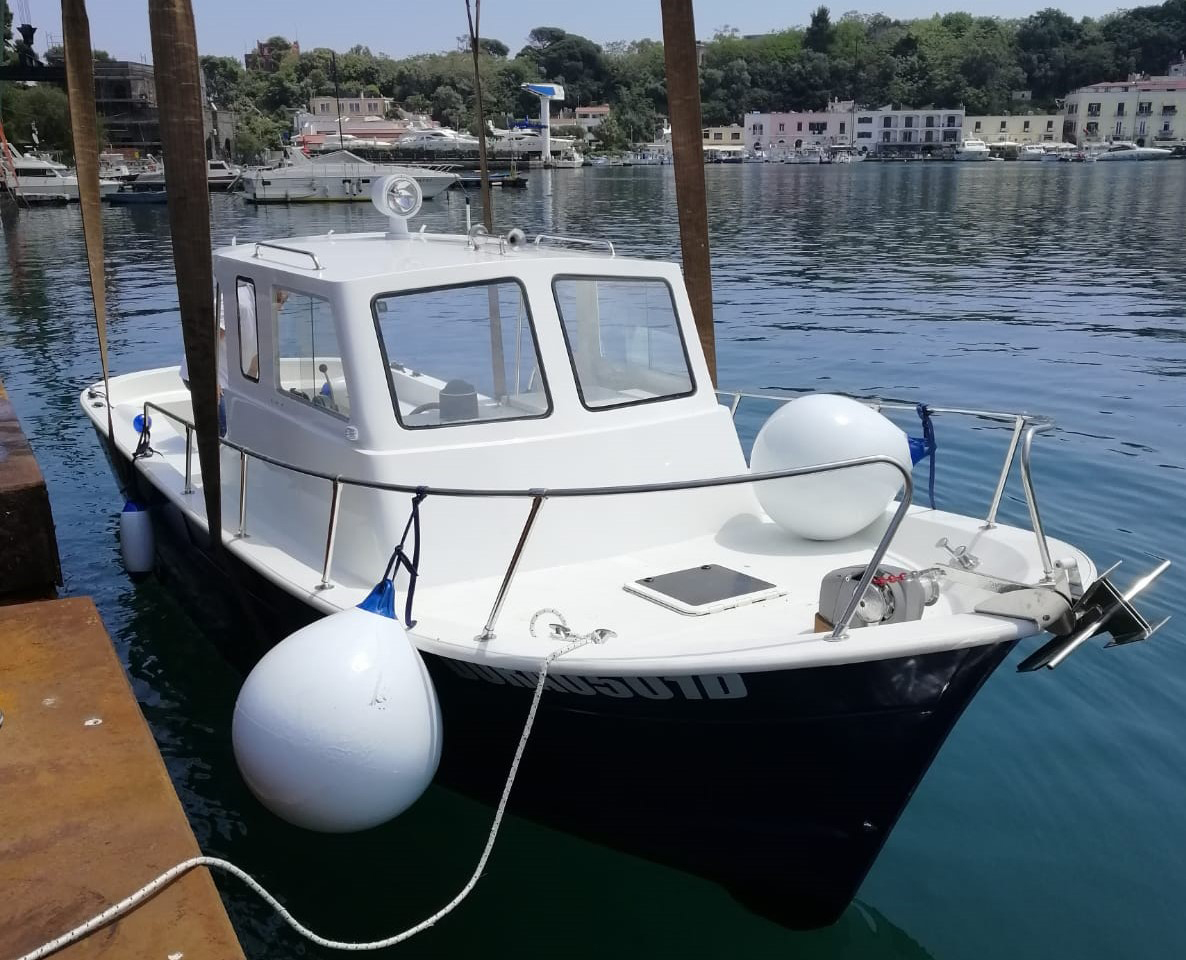 BlueMarine